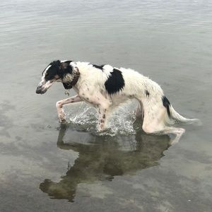 Meet your Posher, Aspen